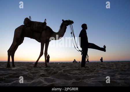 Gaza, Palestine. 17th Aug, 2022. A Palestinian man walks with his camel at the beach of Gaza during sunset in Gaza Strip. Israel and Palestinian militants in Gaza on 07 August reached an agreement on an Egyptian-mediated ceasefire which came into effect after three days of exchanging rocket attacks and airstrikes resulting in the death of at least 44 Palestinians and injury of 360 others, according to the Palestinian Ministry of Health. Credit: SOPA Images Limited/Alamy Live News Stock Photo