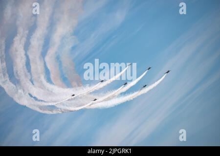 Eight Korean Air Force T50 Golden Eagle Military Jet Trainers of the Black Eagles aerobatic display team swoop across the sky in formation Stock Photo