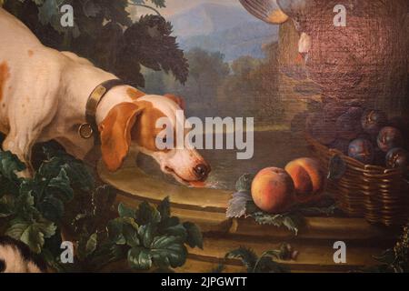 Detail of an Old Master painting, depicting a hunting dog drinking in a fountain. At the Wallace Collection Museum in London, England, United Kingdom. Stock Photo