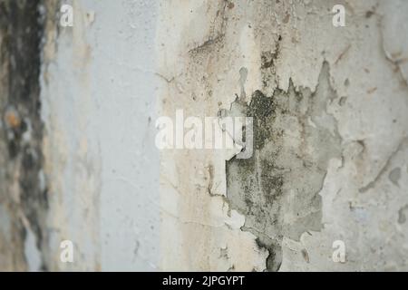 water leaks on the wall damage the paint. Stock Photo