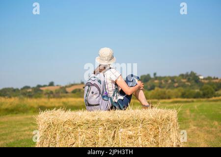 Rear view of female rambler sitting isolated on straw/ hay bale in UK countryside, with sun hat and rucksack in the summer heatwave of August 2022. Stock Photo