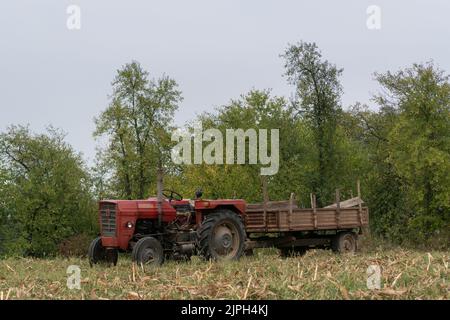 Old tractor with a trailer in a harvested grain field, agricultural machinery Stock Photo