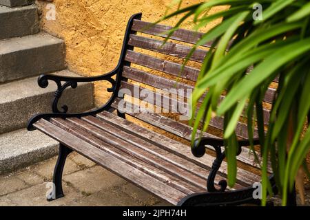 Brown weathered bench with cast iron sides behind a stone staircase in front of a blurred green plant, selective focus Stock Photo