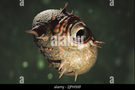 Reconstruction of Saccorhytus coronarius, from a fossil believed to be a deuterostome human ancestral found in China Stock Photo