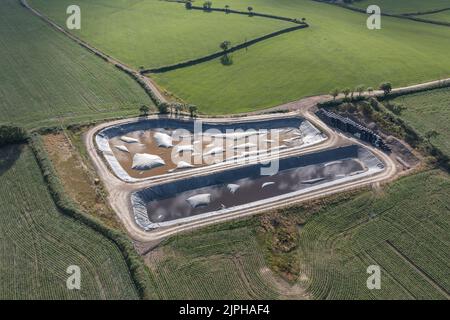 Aerial view of large slurry lagoons with membrane covers to prevent escape of ammonia, methane, carbon dixode, hydrogen sulfide and nitrous oxide Stock Photo