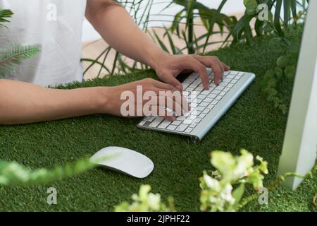 Hands of person working on computer in office Stock Photo