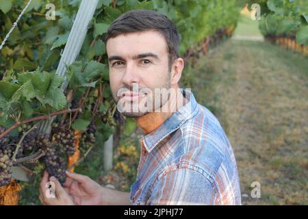 Handsome farmer in beautiful vineyard Stock Photo