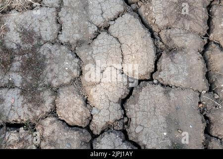 Dry cracked soil Stock Photo