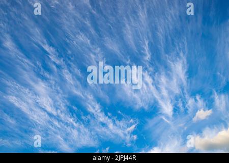 Cirrus intortus or tangled cirrus clouds in the blue sky. Suitable as background or wallpaper. Stock Photo