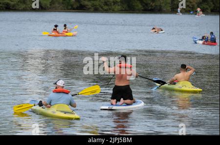 Austin Texas USA, August 14 2022: Kayakers and stand up paddleboarders share the water on a lazy summer weekend afternoon on Lady Bird Lake near downtown. ©Bob Daemmrich Stock Photo