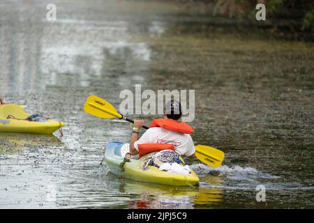 Austin Texas USA, August 14 2022: A man wearing a life vest navigates through aquatic plants on Lady Bird Lake near downtown on a hot August evening. ©Bob Daemmrich Stock Photo