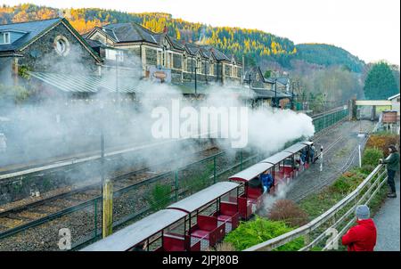 The Minature Steam Railway, operating in Betws-Y-Coed Train station, North Wales. Image taken in December 2021. Stock Photo