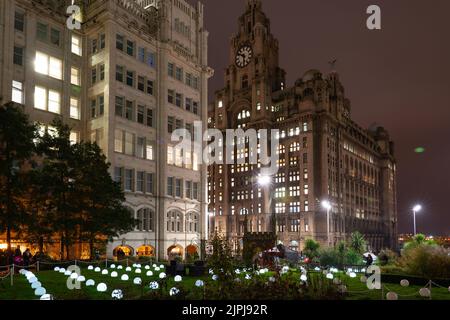 Liverpool's Tower Buildings and the Royal Liver Building on the first of November 2019. With a light show in St Nicholas 's Church Gardens. Stock Photo