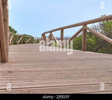 detail of a wooden walkway to the sea between the dunes Stock Photo