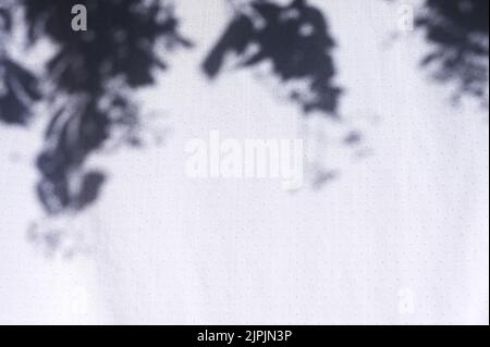detail of the shadows of branches on a bed sheet Stock Photo