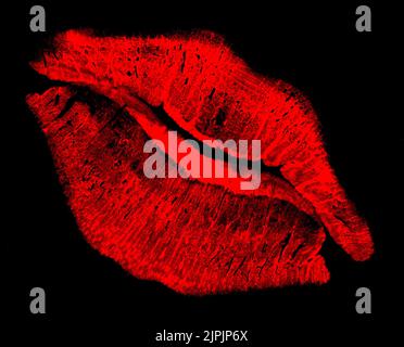 kiss, kissing lips, lip imprint, kisses, lip imprints Stock Photo