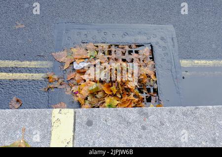 London, UK. Leaves cover and partially block a drain on the side of a road after heavy rain swept across the capital. Stock Photo