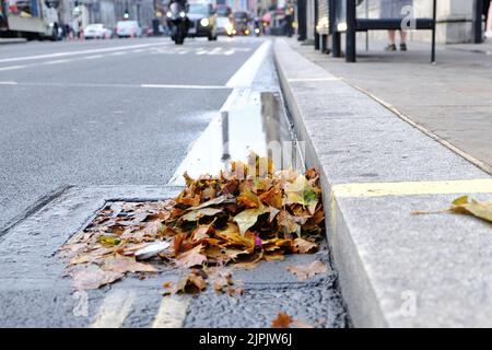 London, UK. Leaves cover and partially block a drain on the side of a road after heavy rain swept across the capital. Stock Photo