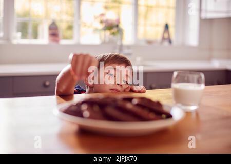 boy, cookie, take hold, boys, cookies, take holds Stock Photo