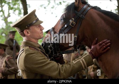 TOM HIDDLESTON, WAR HORSE, 2011 Stock Photo