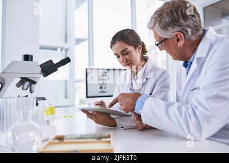 This could be the next big significant development in science. two scientists working together on a digital tablet in a lab. Stock Photo