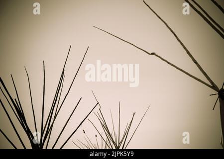 Close-up of teepee or lodge poles on a North American First Nations tipi. Vintage styled photograph Stock Photo