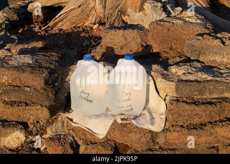 Two plastic jugs of water for dogs on a hiking trail in summer. Stock Photo