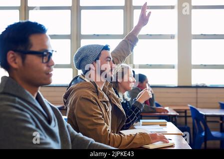 I know this one. a group of university students working in class while sitting in a lecture. Stock Photo