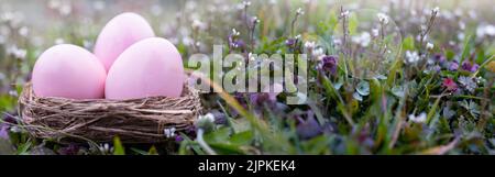 easter egg, easter nest, easter eggs, easters Stock Photo