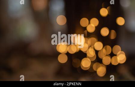 lights, sparkle, light, sparkles Stock Photo