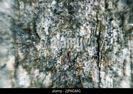 Old plastered wall with mildew stains and loose whitewash, cracks in the plaster. Macro Stock Photo