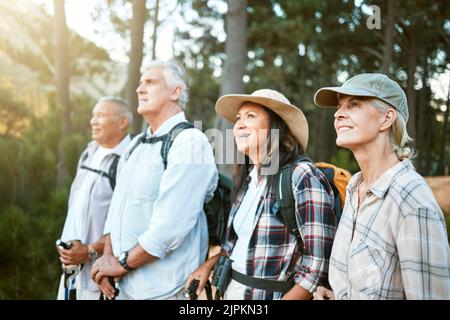 Hiking, adventure and exploring with a group of senior friends looking at the view on a nature hike in a forest or woods outdoors. Retired people on a Stock Photo