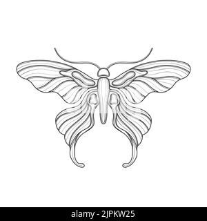 Art nouveau style basic butterfly element. 1920-1930 years vintage design. Symbol motif design. Isolated on white. Stock Vector