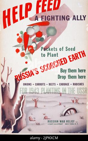 Help feed a fighting ally. Russia's scorched earth. Russian War Relief, Inc., funder. Poster shows a hand releasing vegetables onto a desolate landscape. 1943. Stock Photo