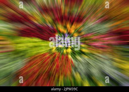 Abstract blurred colorful psychedelic background. Stock Photo