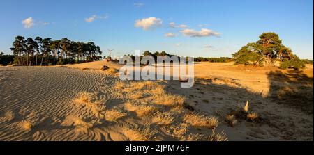 Wind patterns in sand dunes with evening light and long shadows Stock Photo