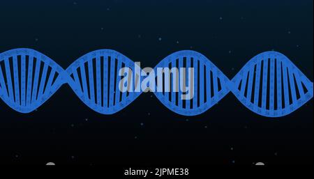 Image of dna strand over black background Stock Photo