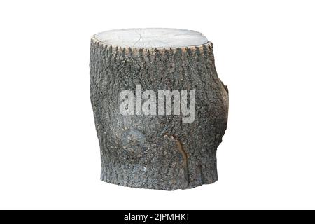 Piece of wooden stump on a white background. isolated on a white background. Stock Photo