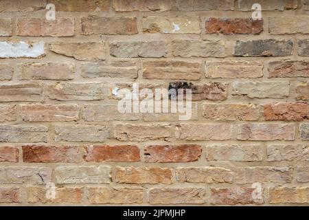 A small area of pale re-claimed bricks forming a stretcher bond wall Stock Photo