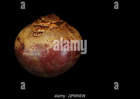a single beetroot isolated on black background with close up vi Stock Photo
