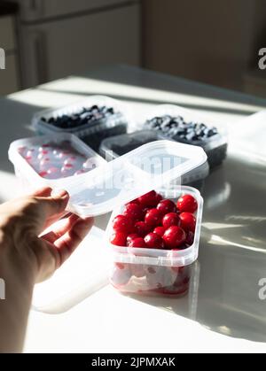Ripe berries in plastic boxes are ready to be frozen in the freezer. Low Carb Cherry and Honeysuckle are used on the keto diet. Berries are rich in Stock Photo