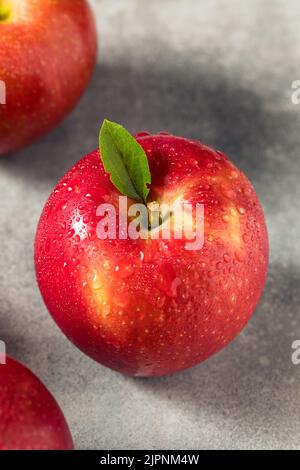 https://l450v.alamy.com/450v/2jpnm4w/raw-red-organic-cosmic-crisp-apples-in-a-bunch-2jpnm4w.jpg