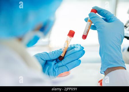 Close-up shot of unrecognizable doctor wearing rubber gloves and white coat holding blood test tubes in hands while wrapped up in work at modern lab Stock Photo