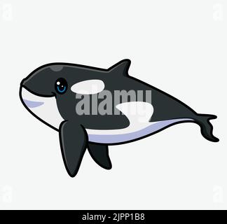 cute killer whale cartoon. isolated cartoon animal illustration. Flat Style Sticker Icon Design Premium Logo vector. Mascot Character Stock Vector