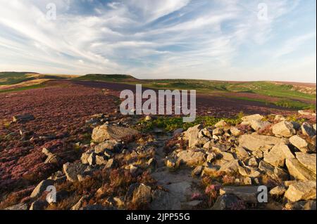 Evening light approaching sunset looking out from Over Owler Tor, towards Higger Tor in the Peak District National Park Stock Photo