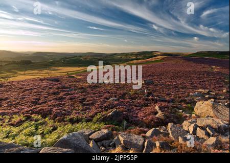 Evening light approaching sunset looking out from Over Owler Tor, in the Peak District National Park Stock Photo