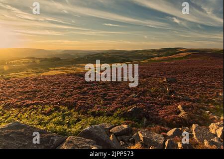 Evening light approaching sunset looking out from Over Owler Tor, in the Peak District National Park Stock Photo