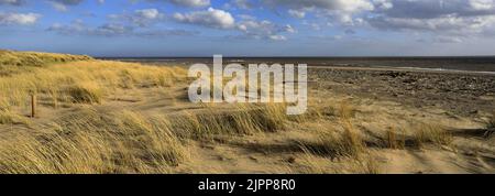 View over the Humber Estuary from Spurn Point, East Riding of Yorkshire, Humberside, England, UK Stock Photo