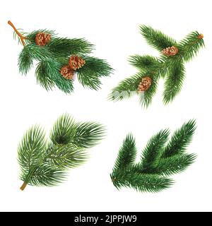 Pine tree branches with cones for chrismas decorations 4  icons set composition banner realistic abstract vector illustration Stock Vector
