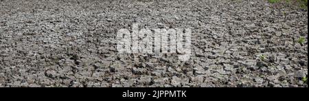 Panorama detail of heavily cracked soil on Isleham Washes Nature Reserve in Cambridgeshire, UK Stock Photo